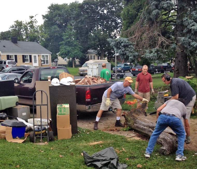 Blight volunteers